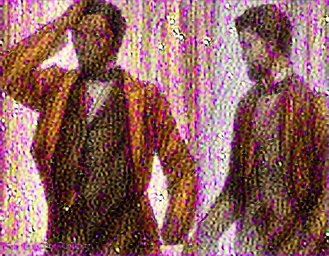 Image 22